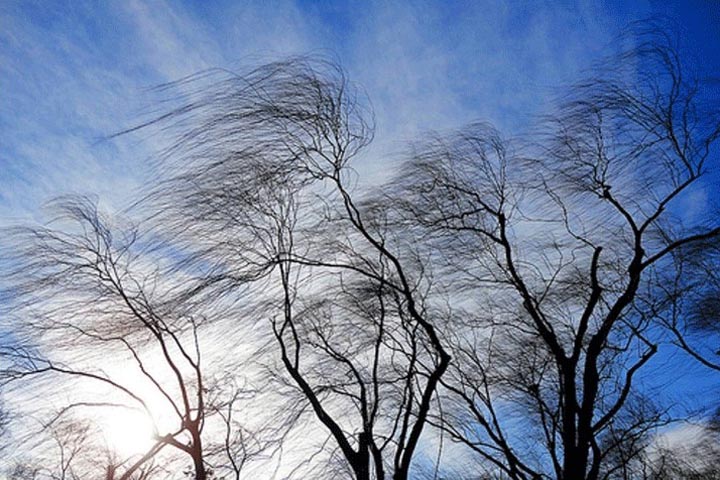 Жителей Хакасии предупредили о надвигающемся сильном ветре